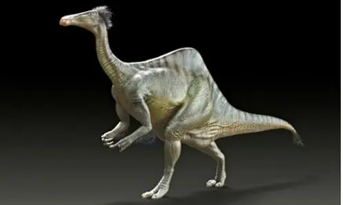 返回历史现场 科学家花50年成功重建「恐手龙」原貌!