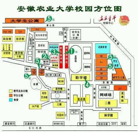 安徽农业大学数据库原理课件 第二章 关系规范化8