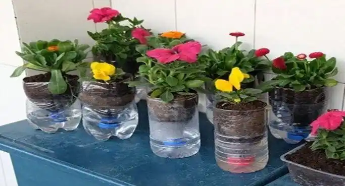 花盆不用花钱买,用空油桶就能做出来,自带浇花功能,省钱又实用