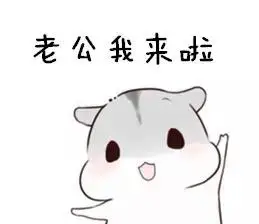 老公我来啦萌萌哒仓鼠表情装逼可爱萌萌哒表情