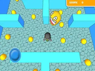 the game:  a large maze where you have to escape from the b.d.