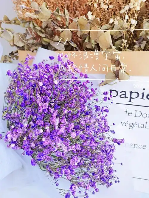 满天星的还有一个花语是爱人的呼吸.