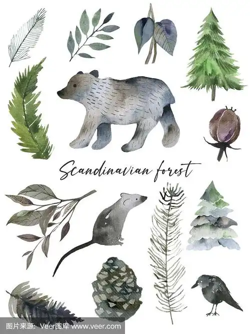 可爱的森林水彩符号与林木景观.北欧装饰插画.