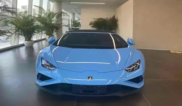 兰博基尼的标志是一头充满力量,正向对方攻击的斗牛,与大马力高性能