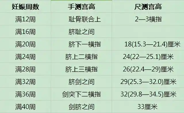 当然,医院也是可以测宫高的,孕妈可以去医院测更准确的数据.
