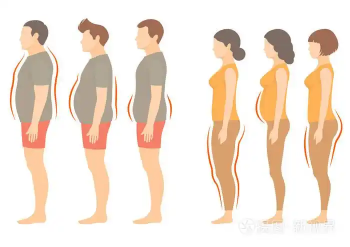 肥胖的女人和男人的身体类型