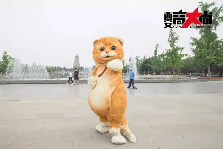 犀犀利和西安高大尚在西安的故事丨time