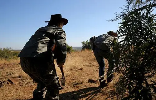 联合国决议敦促全球联合打击野生动物犯罪中国任重道远