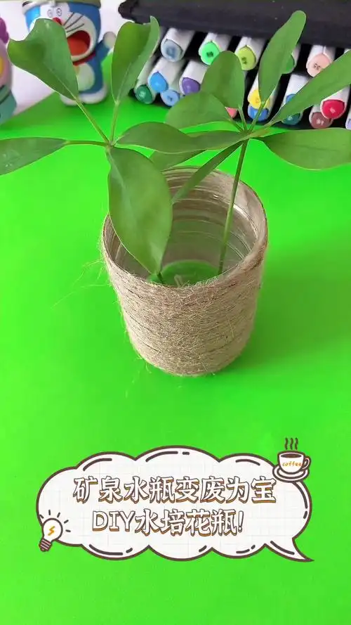 矿泉水瓶变废为宝,diy水培花瓶!