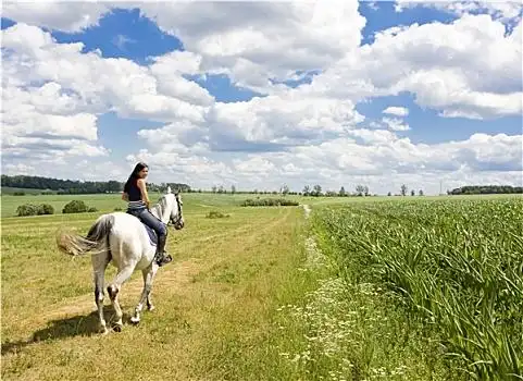 一个人骑马图片_一个人骑马图片大全_一个人骑马图片下载