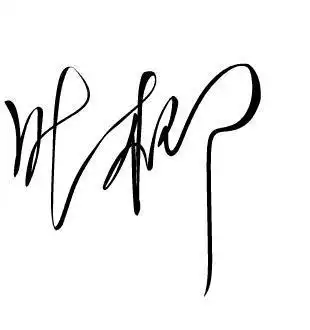 请帮设计一个艺术签名,名字叫: "叶柳"