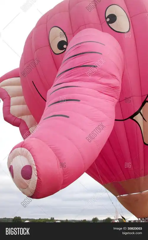 雷丁顿,nj-jul 29: a 密切起来的 nelly b 粉红色大象气球作为它被拴