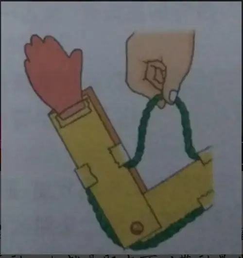 做一个手臂简易模型,有骨骼有肌肉(用纸板和绳子代替)