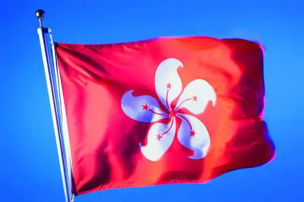 送上香港的区旗让你欣赏