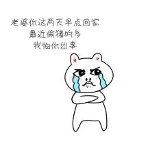 老婆你早点回家表情包