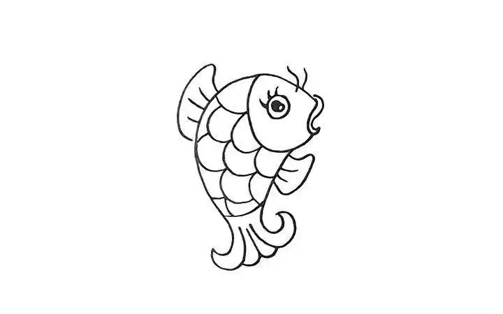 的简笔画简笔画鲤鱼上色涂色小鲤鱼的简笔画怎么画小鲤鱼的简笔画好看