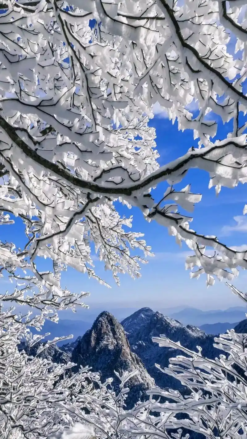 黄山风景区 #黄山冬雪美景 #摄影俱乐部活动 #摄影采风现 - 抖音