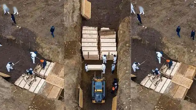疫情死者暴增,纽约重启死亡岛,大批尸体被埋入万人坑!_美国