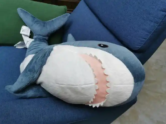 鲨鲨:我的老板,出去喝酒不带鲨鲨想喝威士忌,尼格罗尼……老板:小朋友