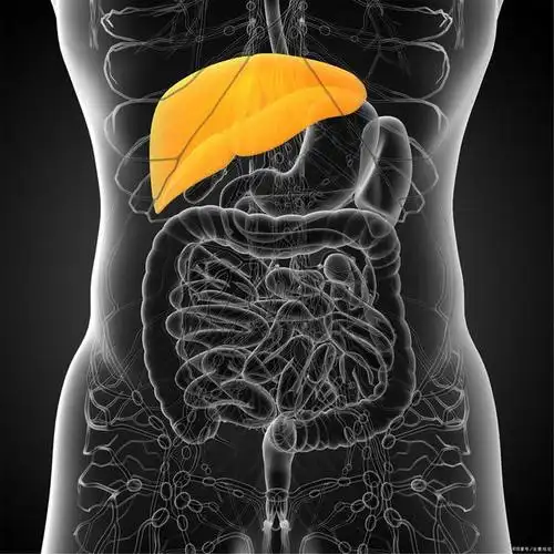 胆结石只出现在胆囊?肝内胆管结石了解一下,防治4要素是关键