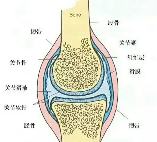 什么是膝关节滑膜炎?怎么治疗?