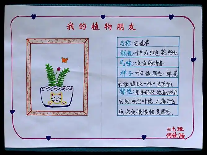 春风十里不如你 | 三下《我的植物朋友》线上习作教学实录