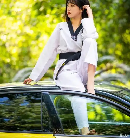 跆拳道女神请求出战