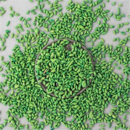 草籽百慕大草坪种孑矮生修剪践踏草种种子别墅手机保护套