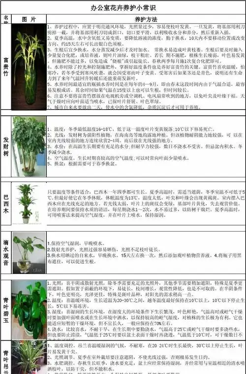 吊兰株丛密集通风不良,易受蚧壳虫危害,应以预防为主.