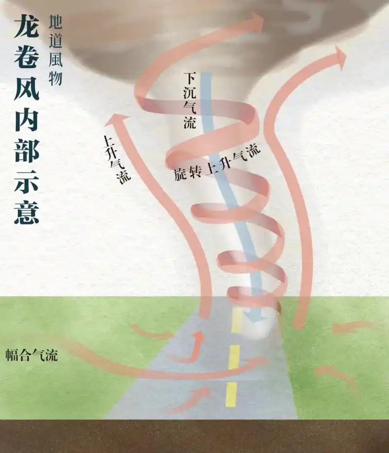 台风为什么这么偏爱中国