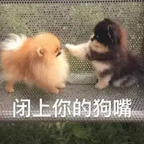 吻我的手做我的狗表情包-抖音表情包分享