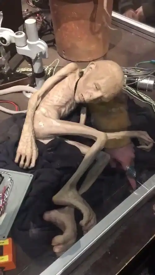 华纳伦敦片场拍下的婴儿状态伏地魔