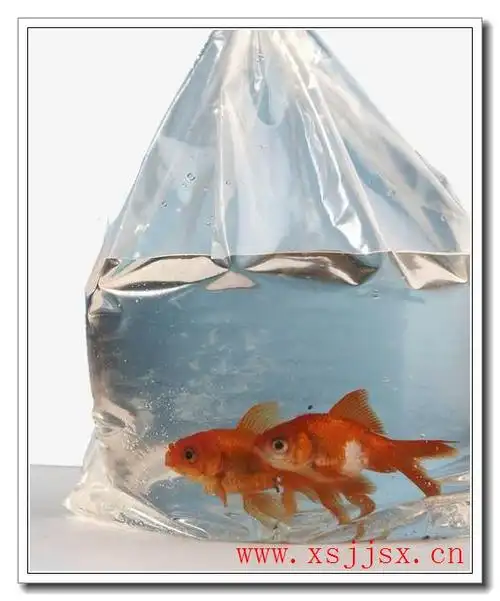 金鱼袋的繁体怎么写