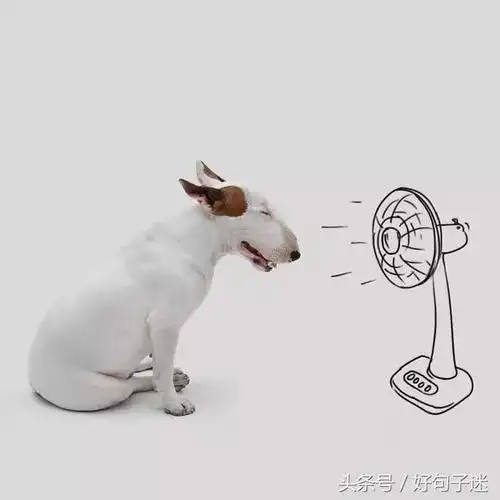 生活中风趣幽默的句子有文化逗比的句子