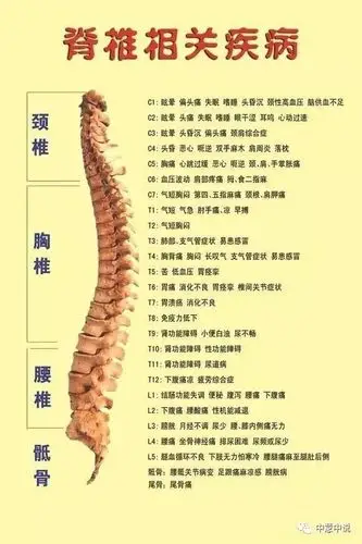 脊椎错位引发的慢性疾病