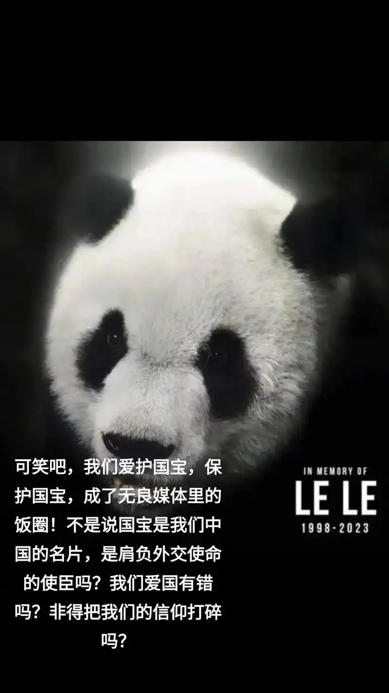 守护大熊猫丫丫平安回家 #关爱国宝大熊猫949494 #旅 - 抖音