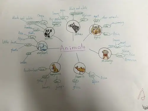 animals 单元导图优秀作业