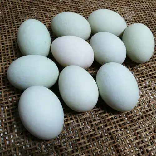 会出油的腌鸭蛋,香气浓郁,口感沙沙的特好吃