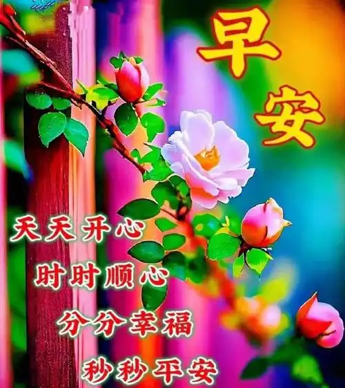 4月21日周五早安问候片带字,深深友情常思念,淡淡祝福重如山