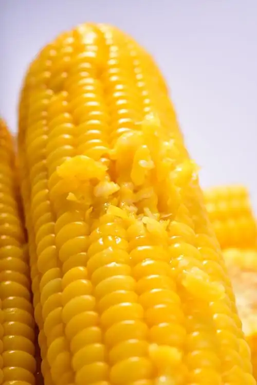 玉米爸爸真空真空包包装熟甜8支230克包邮即食新鲜玉米