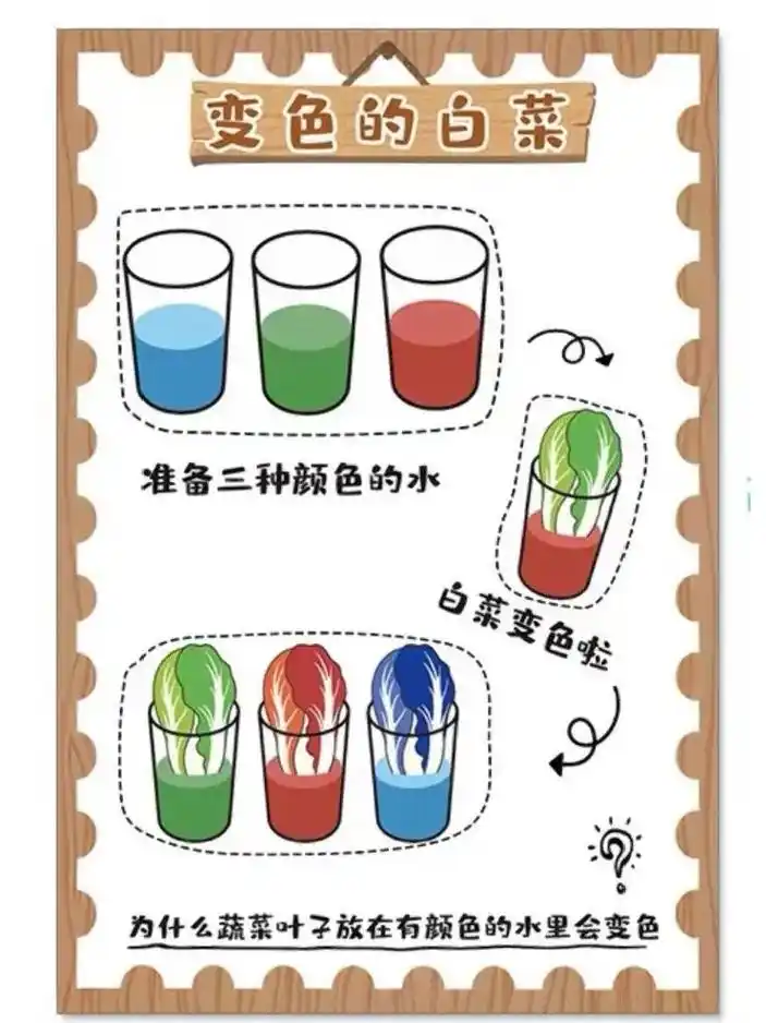 幼儿园科学小实验丨科学区素材