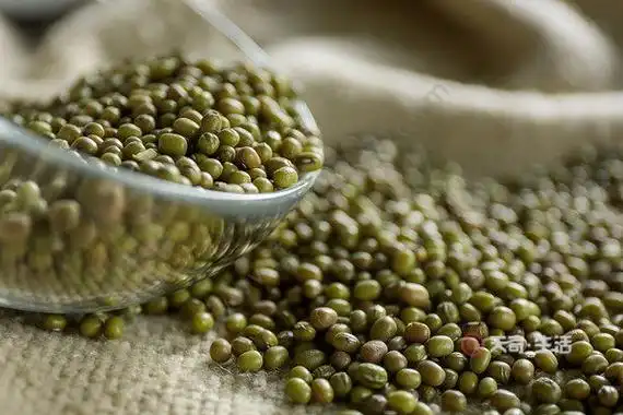 野绿豆图片与功效 野绿豆的功效与作用