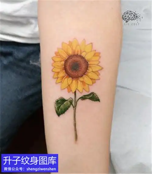 手臂内侧小清新彩色太阳花纹身