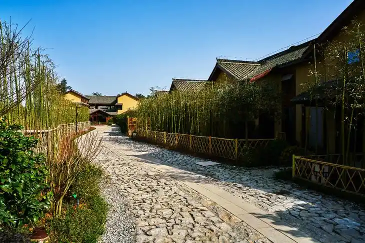 【蒲江明月村-呆住】3房,7房小院.在这里你可以拥有最悠闲自在的时光