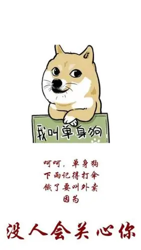 单身狗的苦恼|教师|毕业