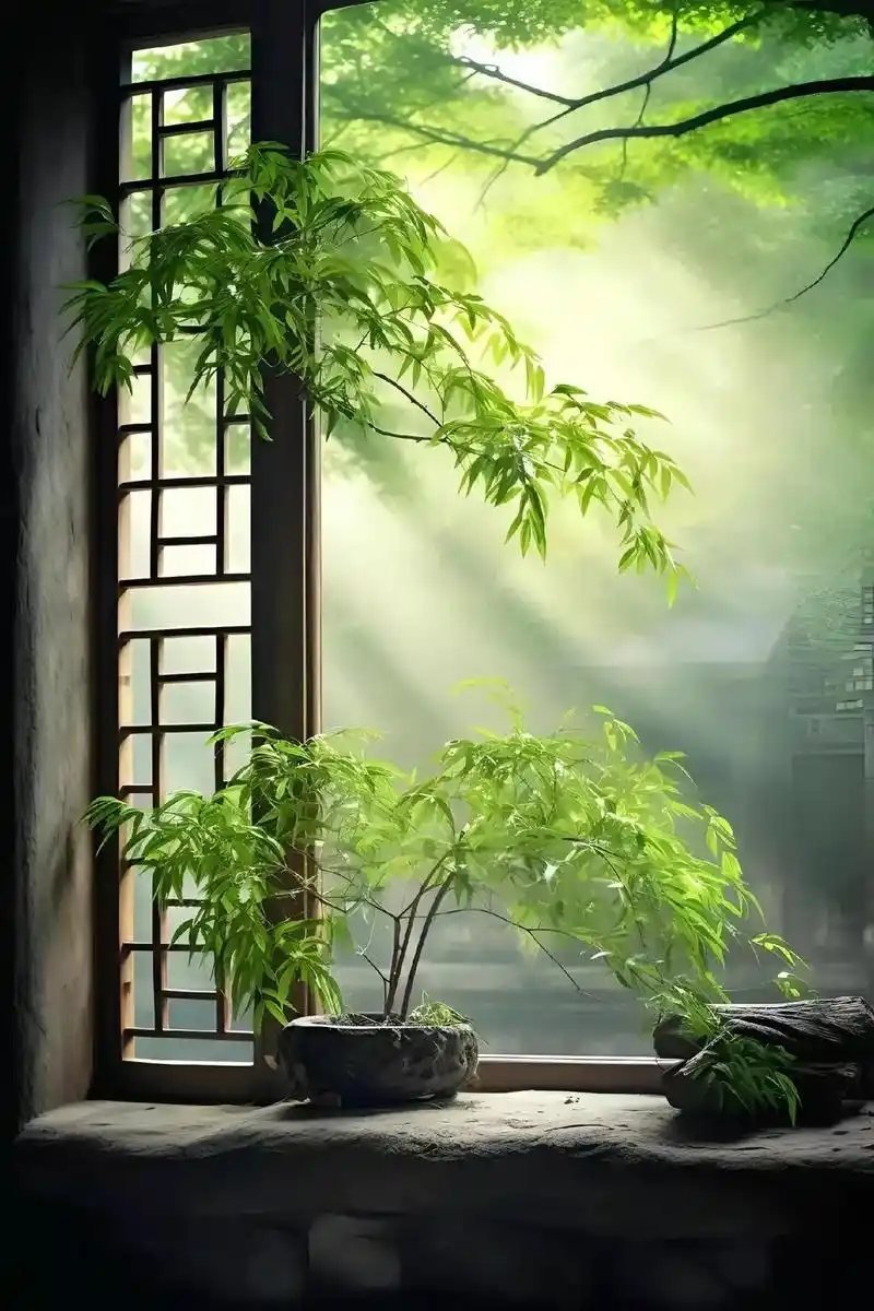 何处觅清凉?竹风穿户凉,心闲日自长,三首咏夏词,禅意悠悠