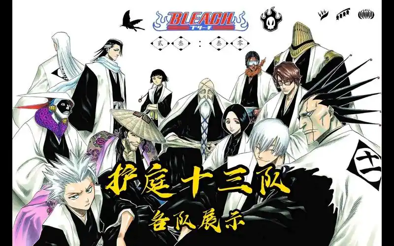 死神bleach护庭十三队各队展示