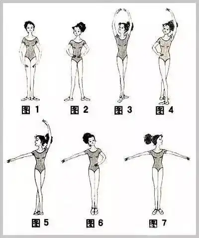 接下来让我们来学习芭蕾舞的手位吧!