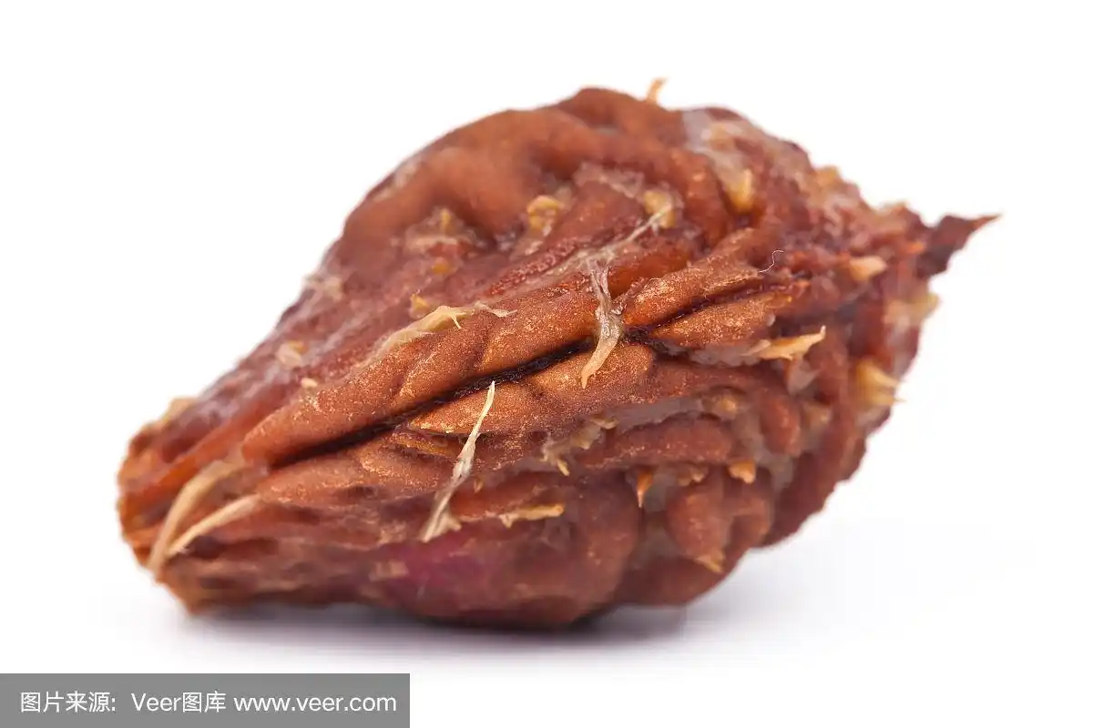 特写的桃果核孤立在白色的背景