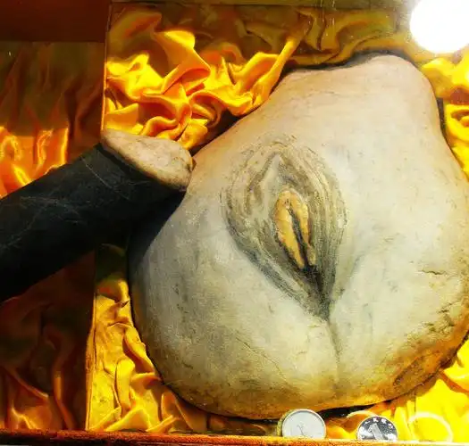 原创图片)酷似生殖器的奇石 让你开眼界